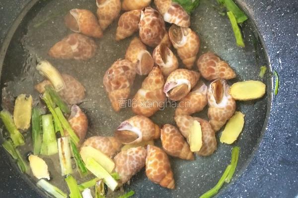 煮花螺的做法图解8