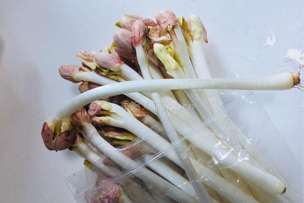 清炒花生芽的做法图解1