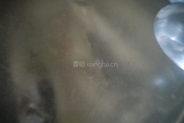 鲫鱼汤的做法图解6