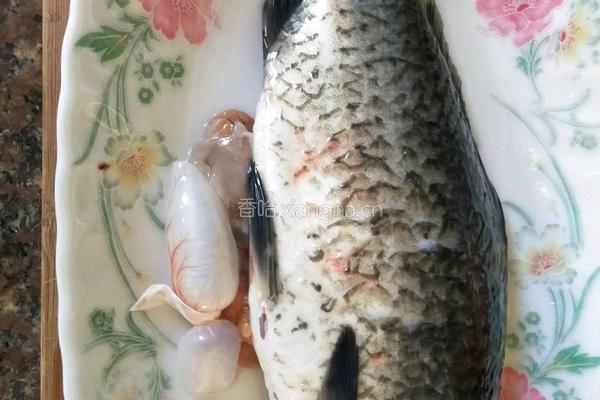 清蒸鲫鱼的做法图解1