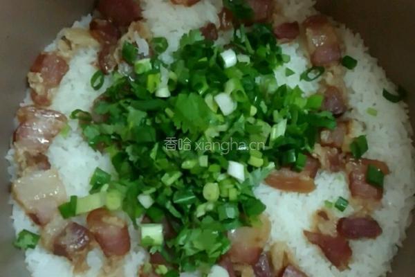 电饭锅腊味煲仔饭