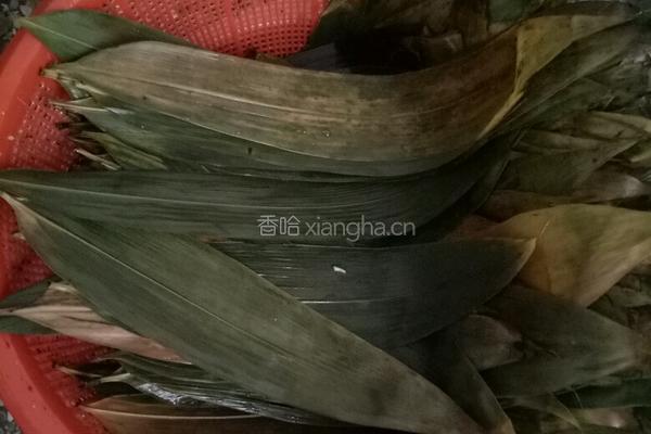咸香粽子的做法图解1
