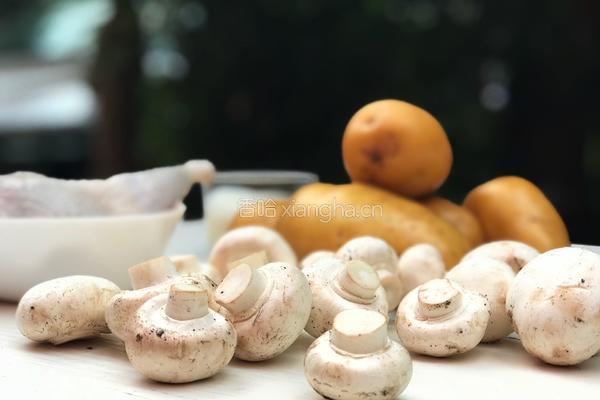 土豆蘑菇派的做法图解1