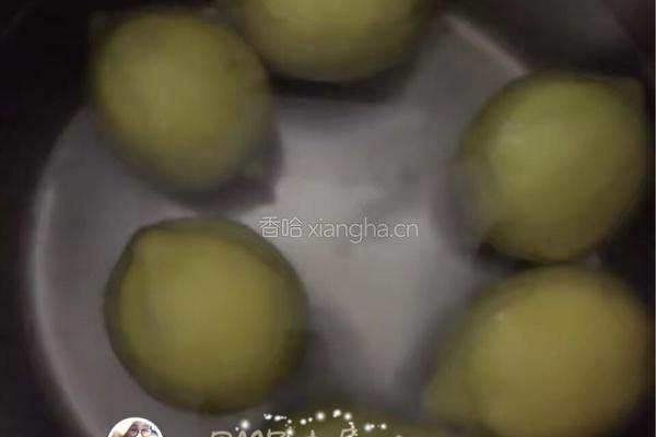 柠檬蜜的做法图解1