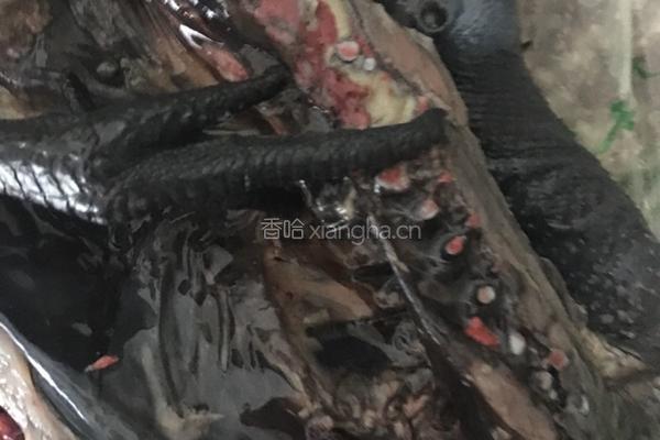 乌鸡汤的做法图解1