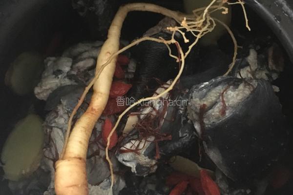 乌鸡汤的做法图解2