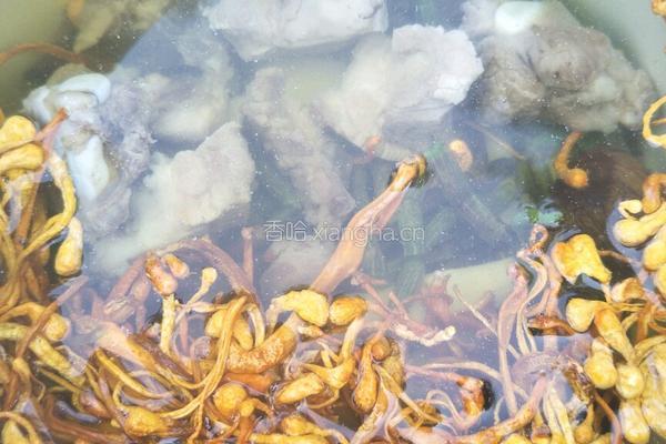 新鲜石斛虫草花炖排骨的做法图解7