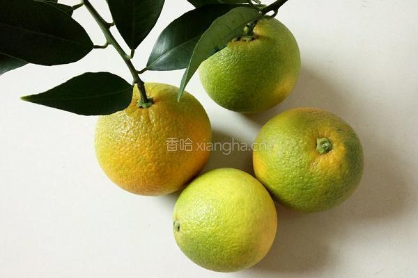 橙汁冬瓜条的做法图解7