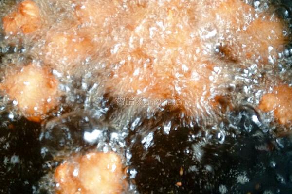 胡萝卜豆渣肉丸和白萝卜豆渣肉丸的做法图解9