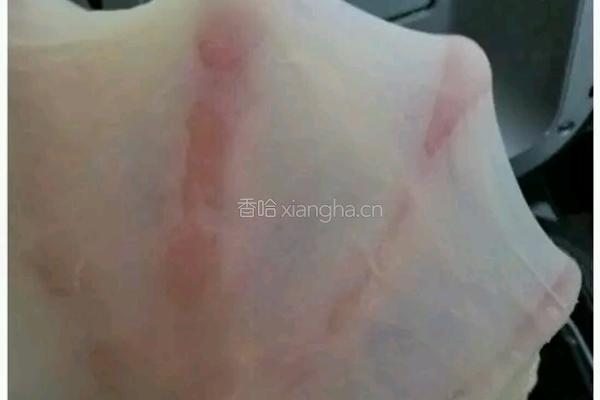奶香小面包的做法图解3