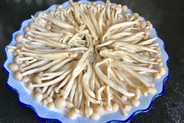 肉末鲜茶树菇的做法图解7