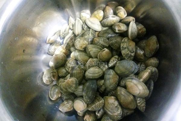 家常炒花甲的做法图解2