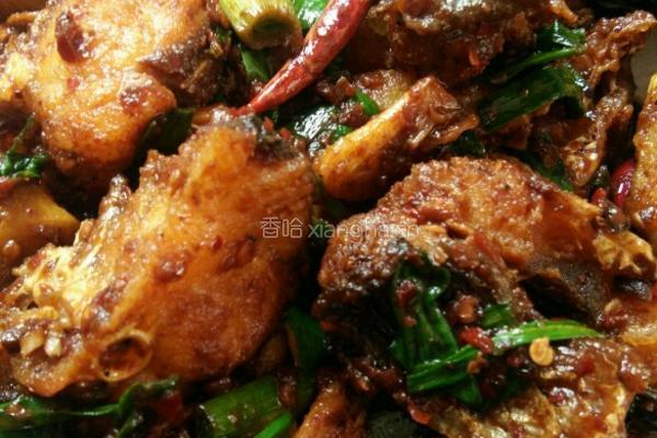 干锅麻辣鱼的做法图解4