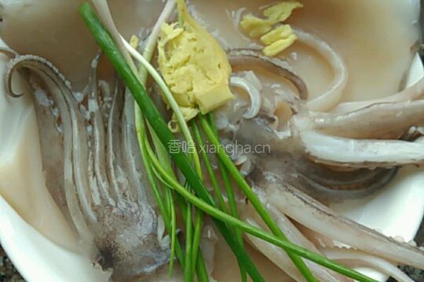 白灼大鱿鱼的做法图解1