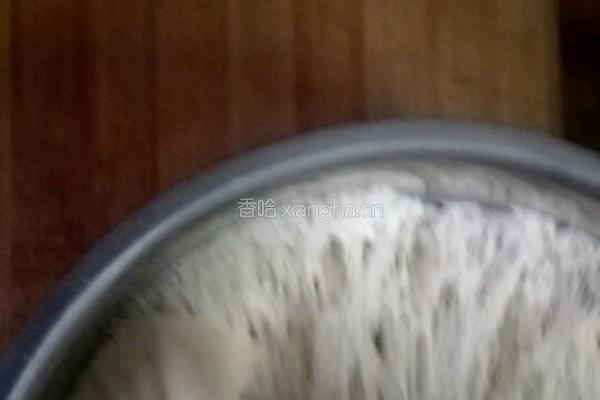烤饼的做法图解3