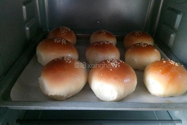 蜂蜜小面包的做法图解6