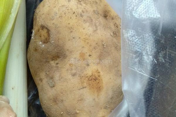土豆新吃法的做法图解1