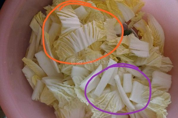 大白菜炒豆皮的做法图解2