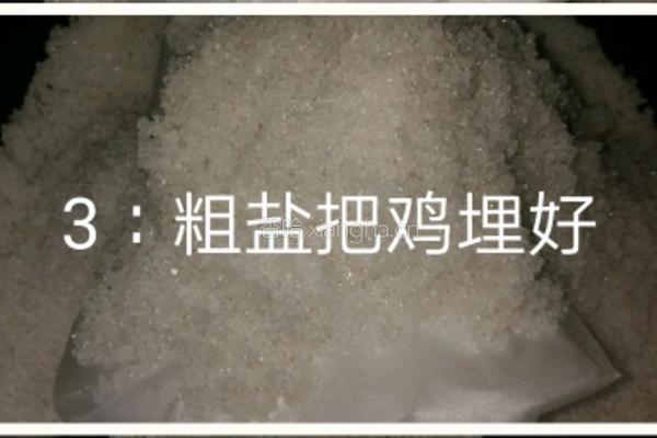 盐焗鸡的做法图解4