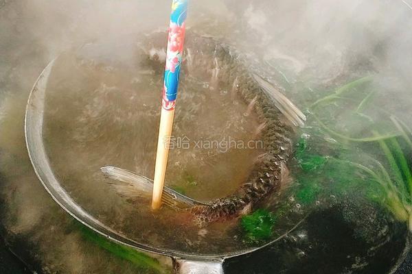 跳水鱼的做法图解9