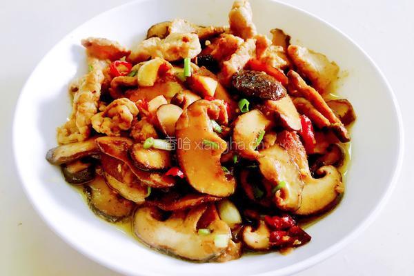 香菇炒肉片的做法图解5