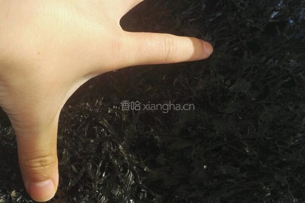 煎(烙)紫菜片的做法图解3