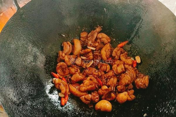 酱香苦瓜鸭的做法图解8