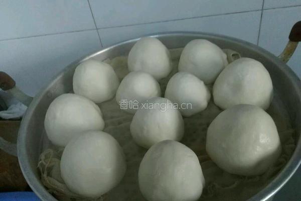 老面馒头（老面面粉清水食用碱)的做法图解12