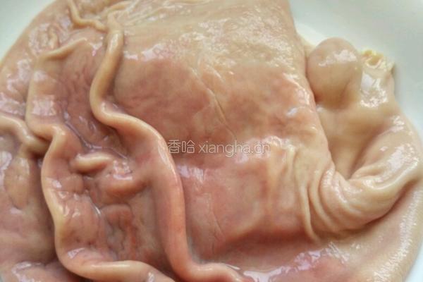 青红椒炒猪肚的做法图解5