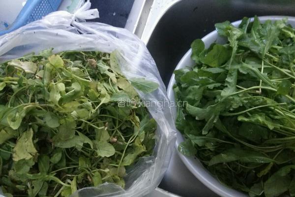 猫耳朵水饺的做法图解2