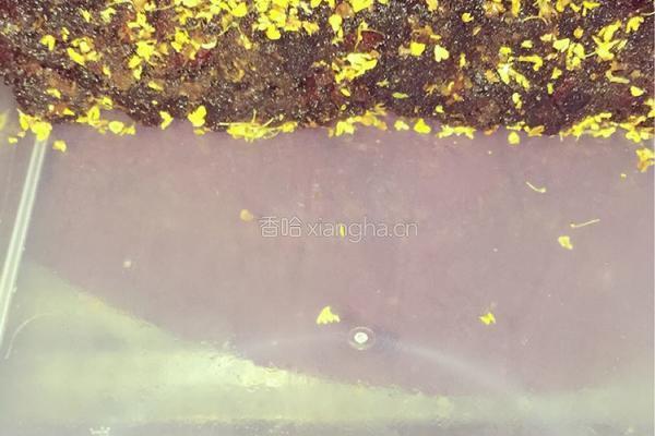 桂花红糖姜母糖的做法图解10