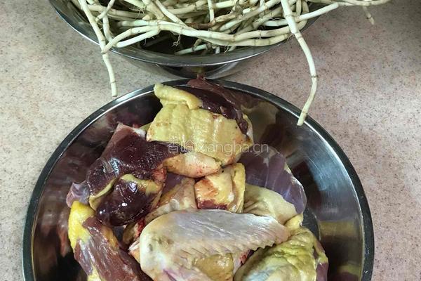 鱼腥草老鸭汤的做法图解1