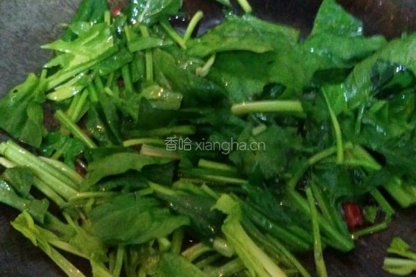 素炒菠菜的做法图解4