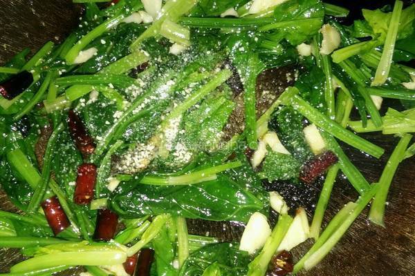 素炒菠菜的做法图解6