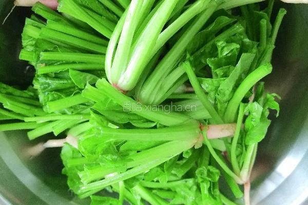 烧菠菜根的做法图解2