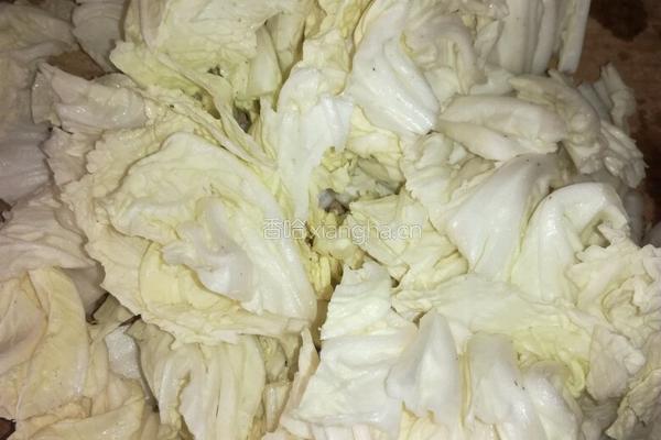 家常白菜炖粉条的做法图解3