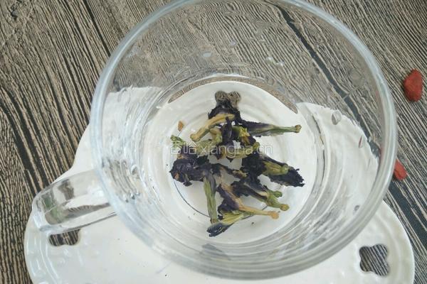 蝶豆花茶的做法图解2