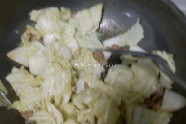 土豆白菜炖肉的做法图解7