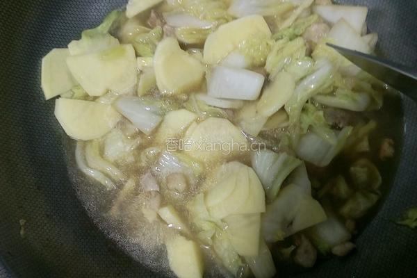 土豆白菜炖肉的做法图解9
