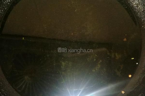 香煎小鱼的做法图解6
