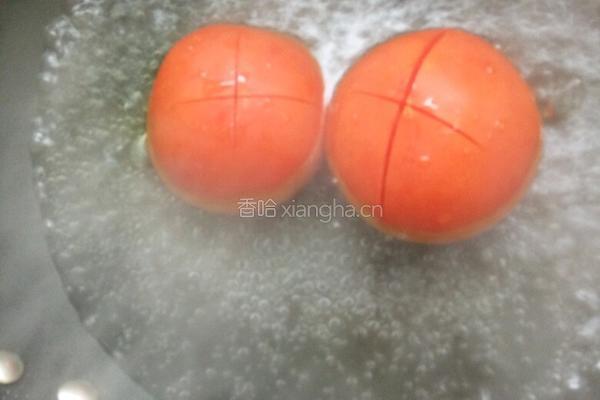 西红柿口蘑炖牛腩的做法图解9