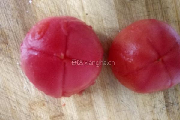西红柿口蘑炖牛腩的做法图解10