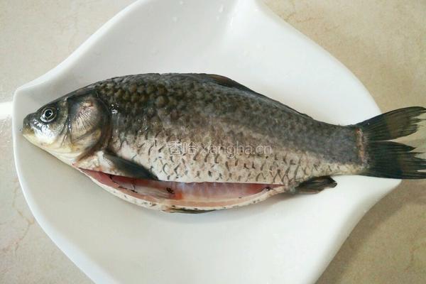 鲫鱼豆腐汤的做法图解1