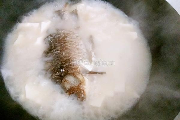 鲫鱼豆腐汤的做法图解7