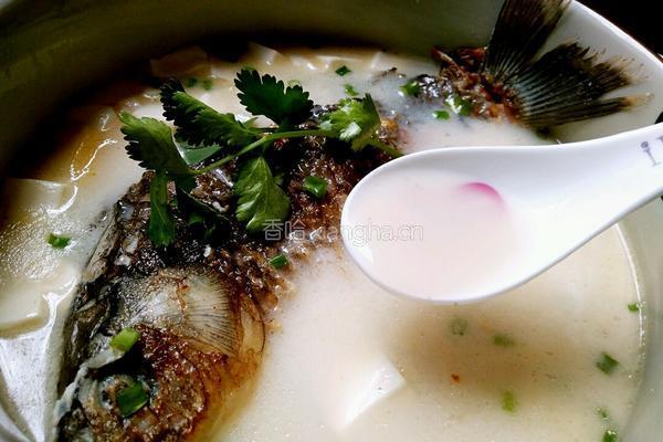 鲫鱼豆腐汤的做法图解13