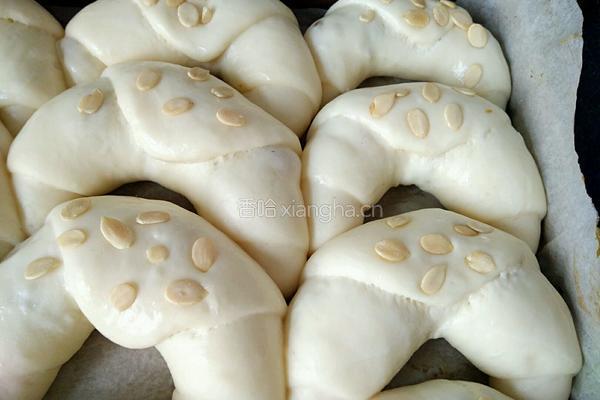牛角包（一次发酵）的做法图解11