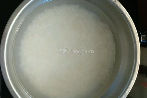 鲜虾白米粥潮汕砂锅粥的做法图解1