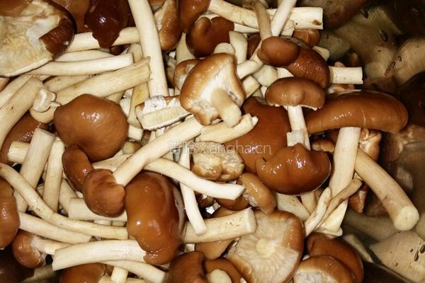 茶树菇炖排骨的做法图解2