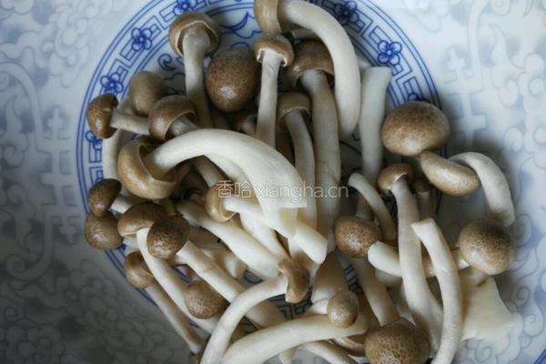 鸽肚汤的做法图解8