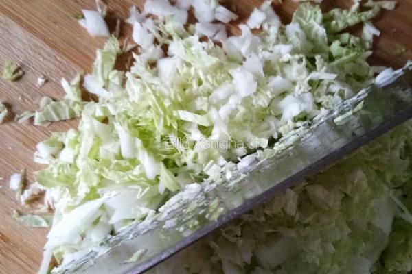 牛肉白菜馅饺子的做法图解4